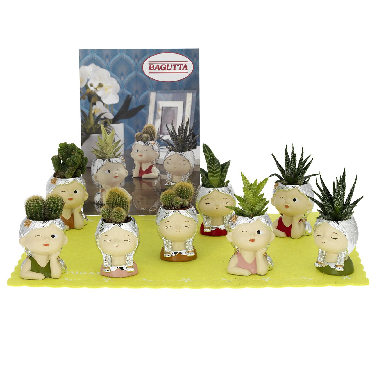 EXPOKIT 1x8 PORTAVASO VISO - Art. 2193